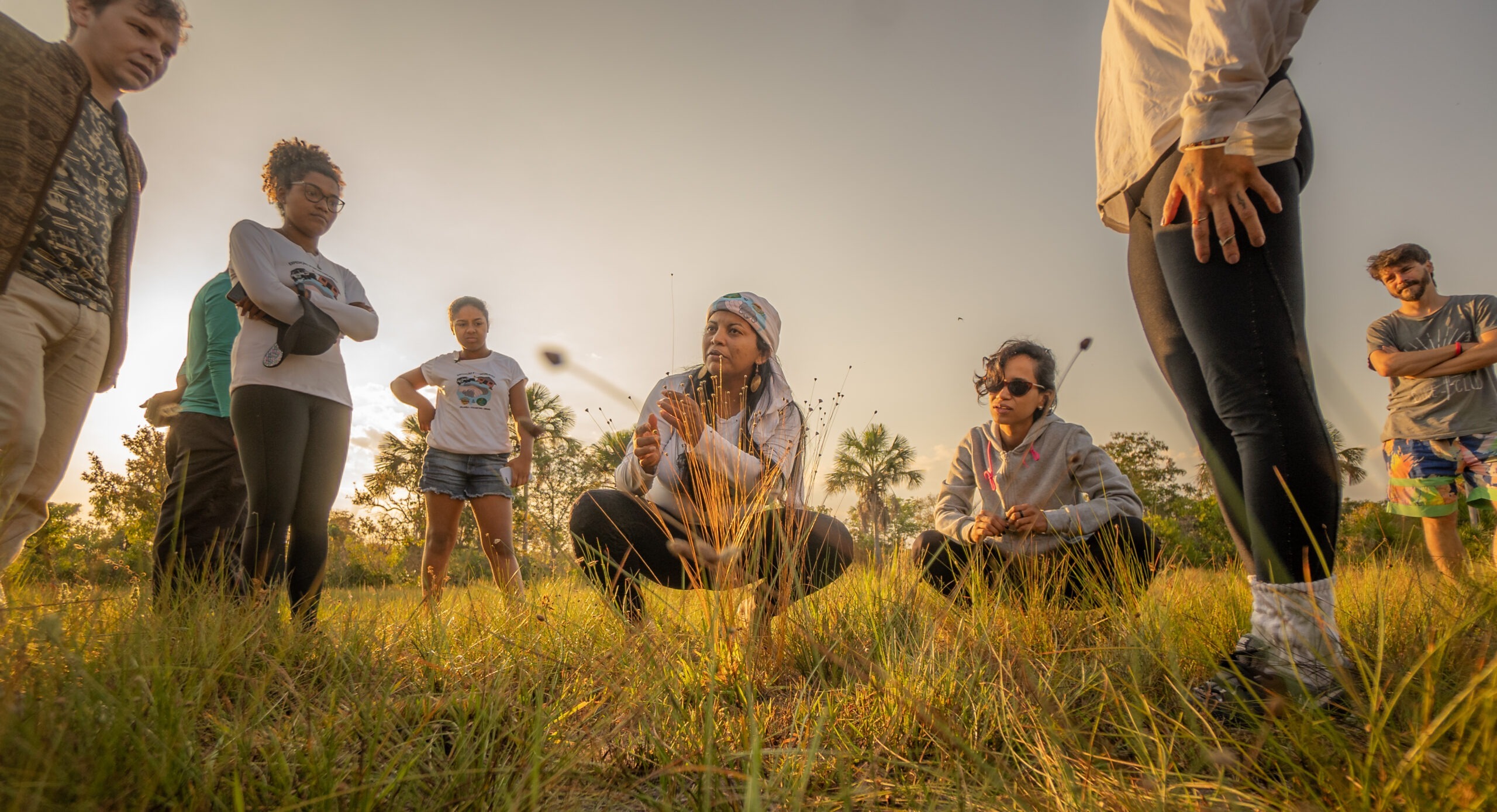 Colheita do capim Dourado - Quilombo Mumbuca no Jalapão Turismo de base Comunitaria